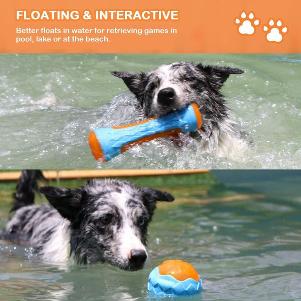 Squeaky Floating Dog Beach Toy