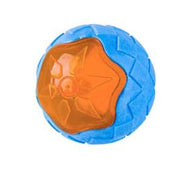 Squeaky Floating Dog Beach Toy