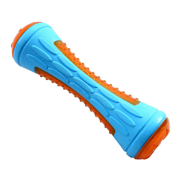 Squeaky Floating Dog Beach Toy