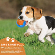 Squeaky Floating Dog Beach Toy