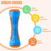 Squeaky Floating Dog Beach Toy
